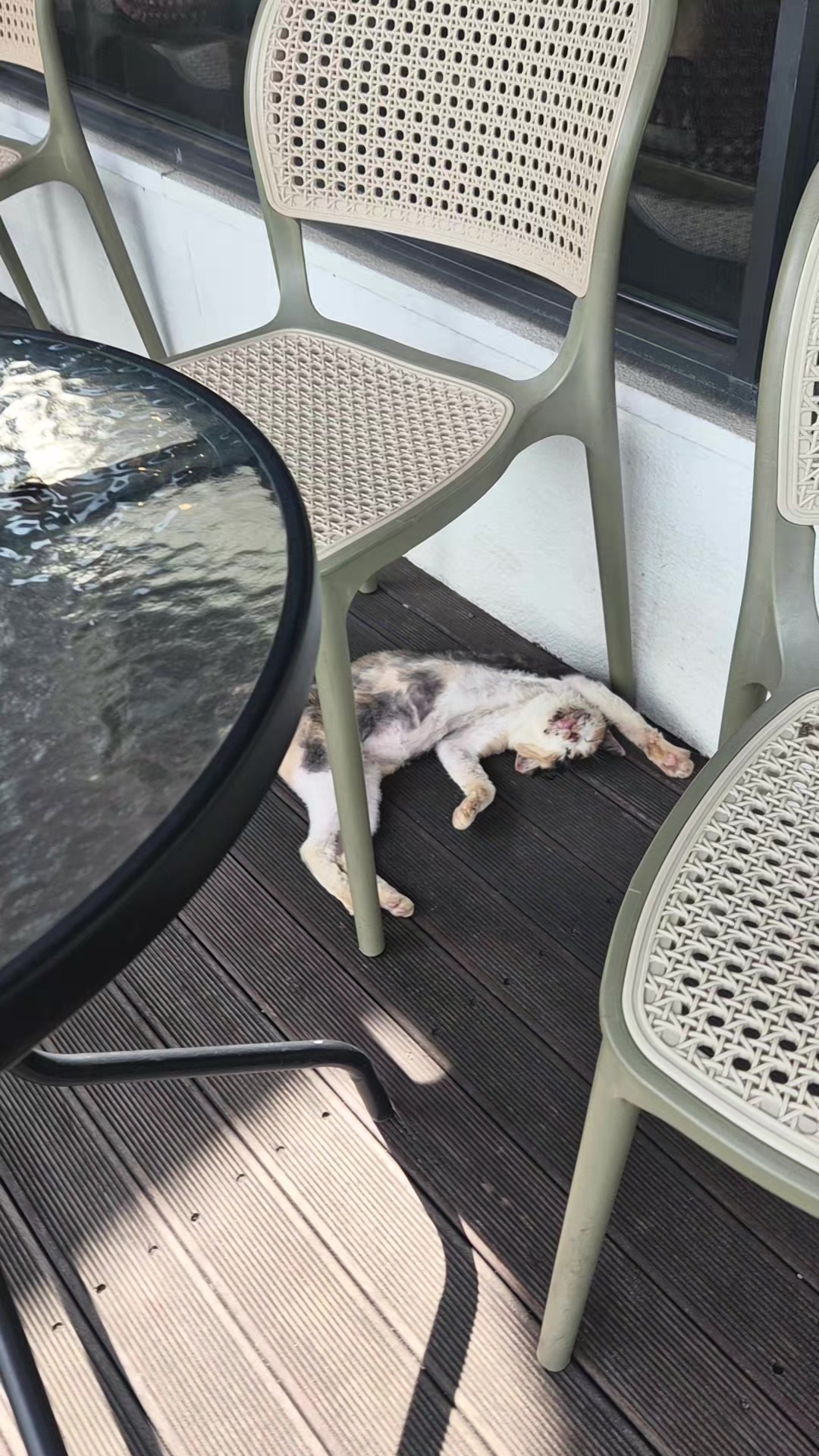 @âšïžðð«ì§ëì§ëâšïžðð«