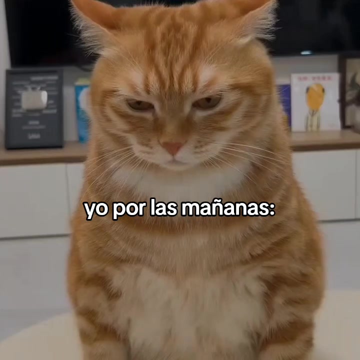 @goodvibessxd