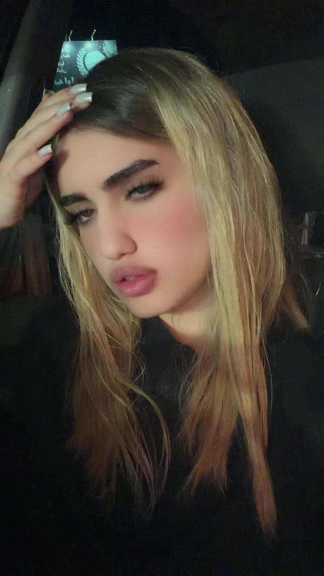 @elenahmadi1