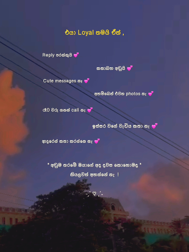 @𝑺𝒉𝒂𝒏𝒊 𝒃𝒆𝒂𝒓 💭
