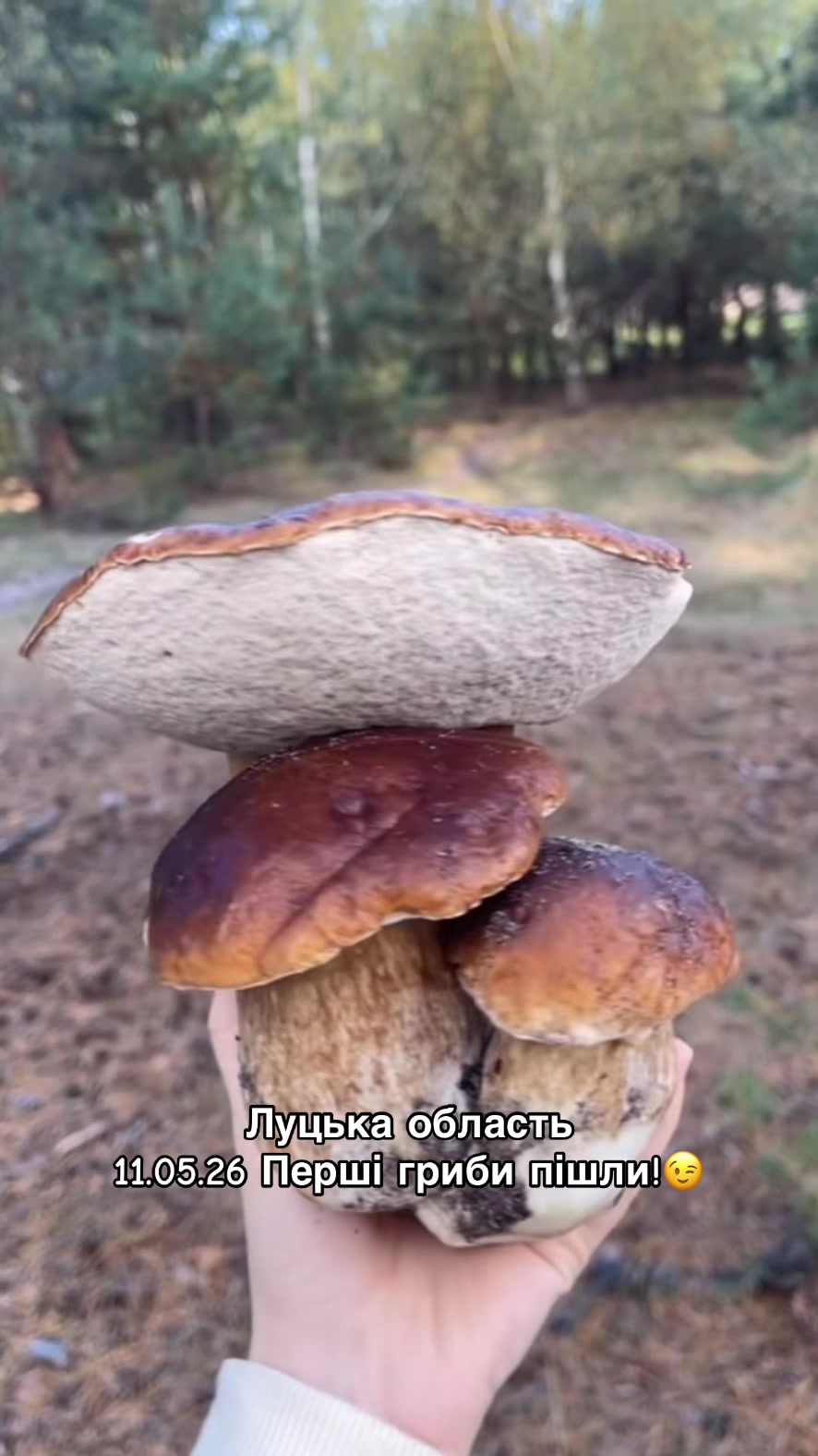 @Volynblog | Луцьк | Ковель