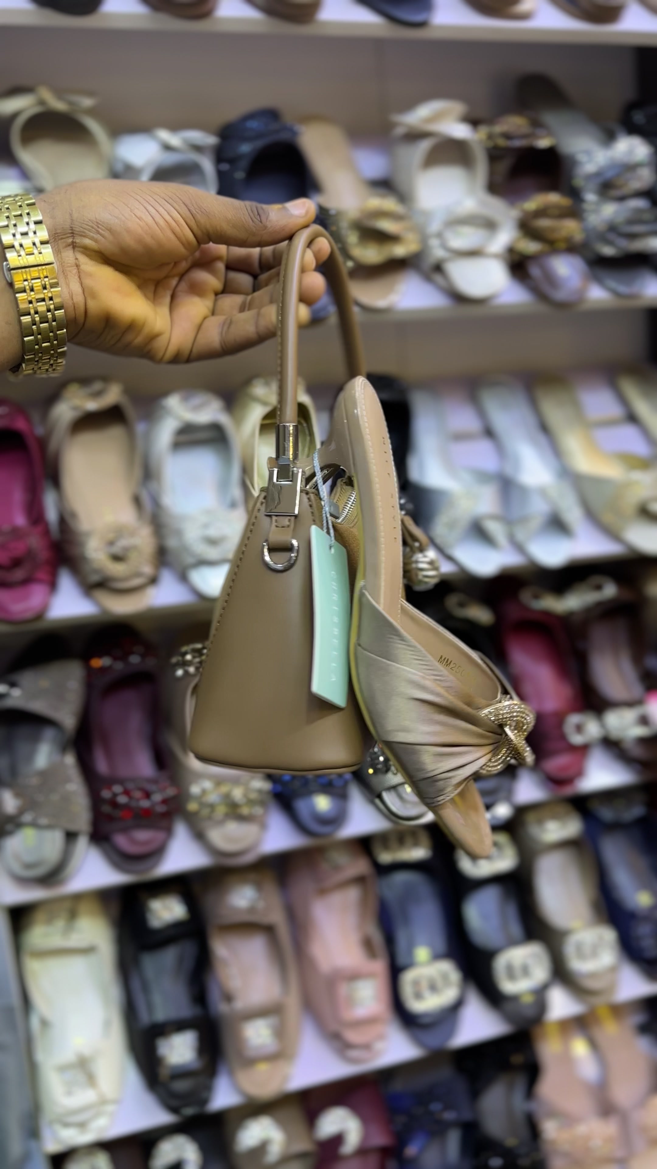 @A.A COLLECTION BACKUP.