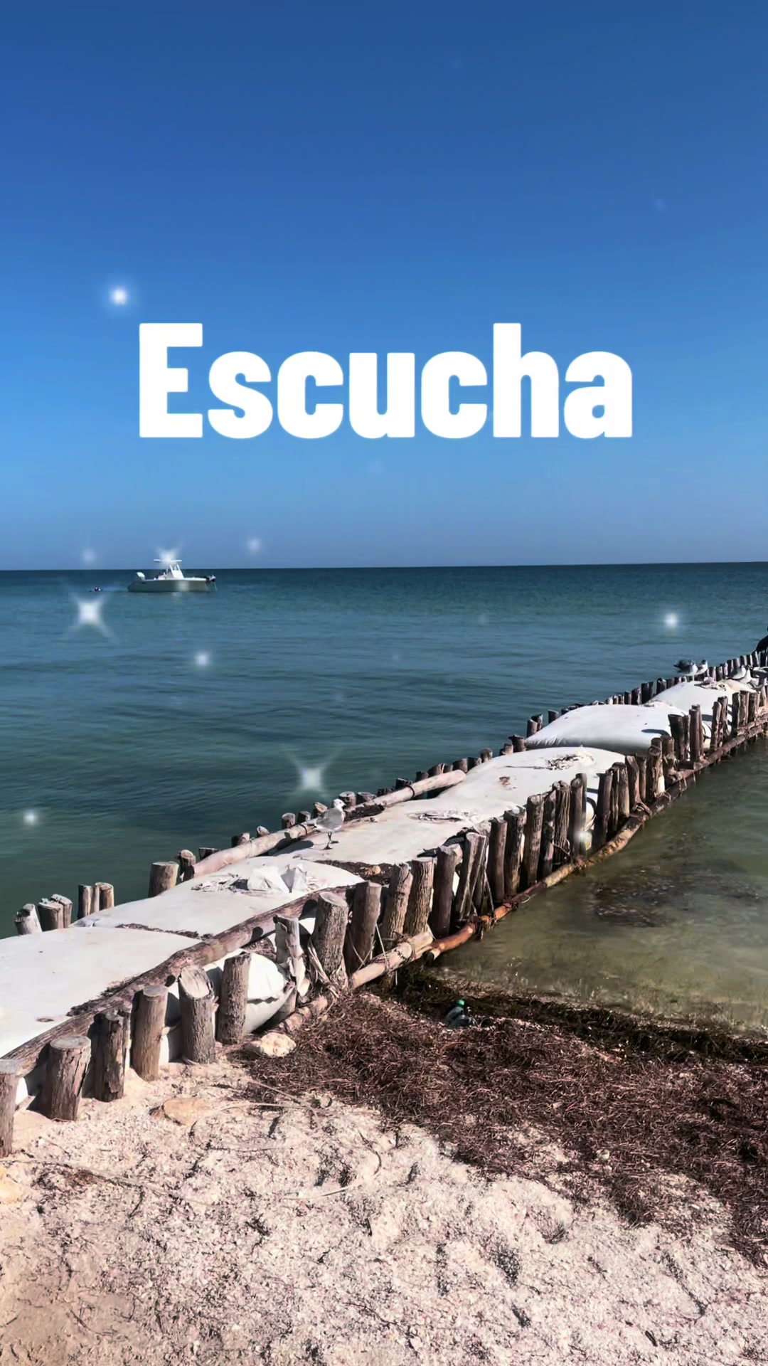 @Laura segunda oportunidad