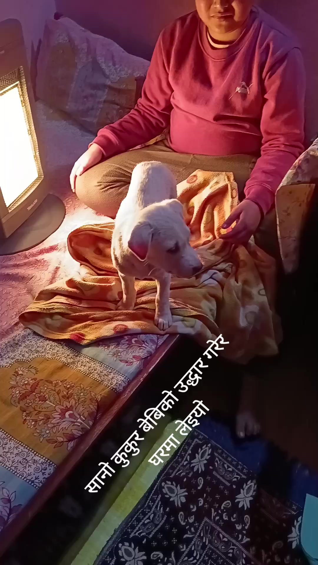 @Rupa bhandari