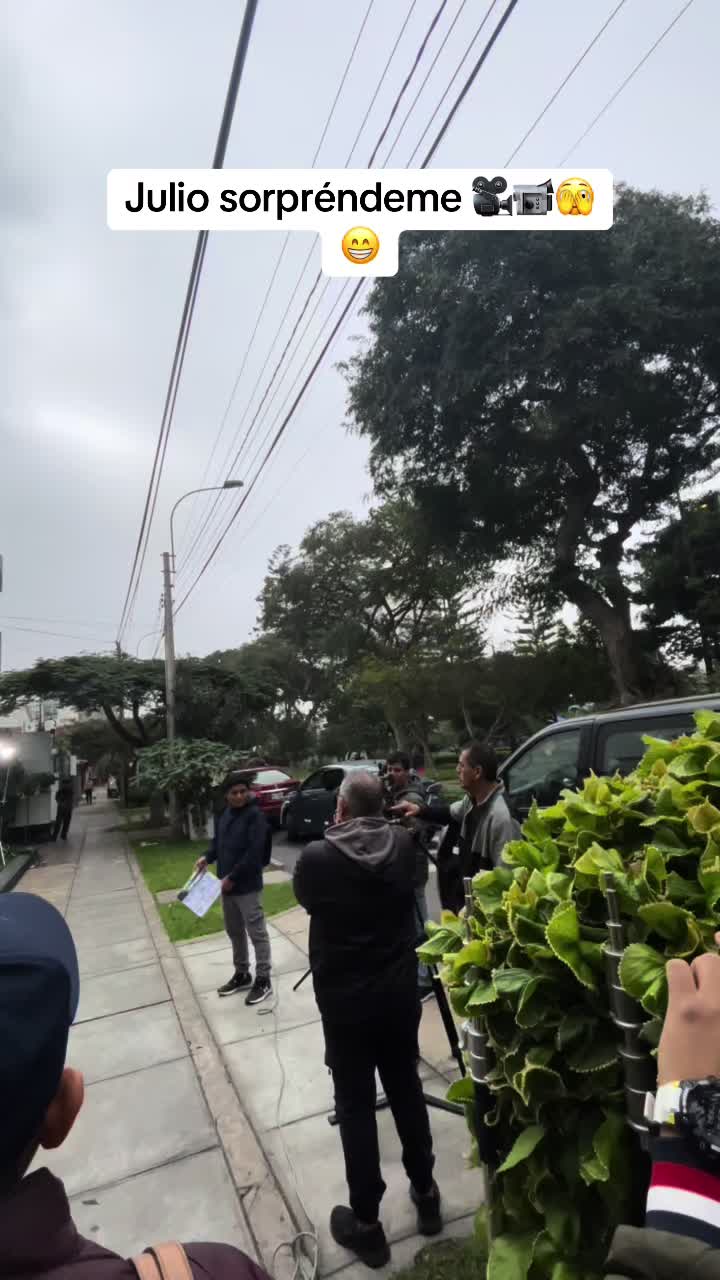 @luzbelizario