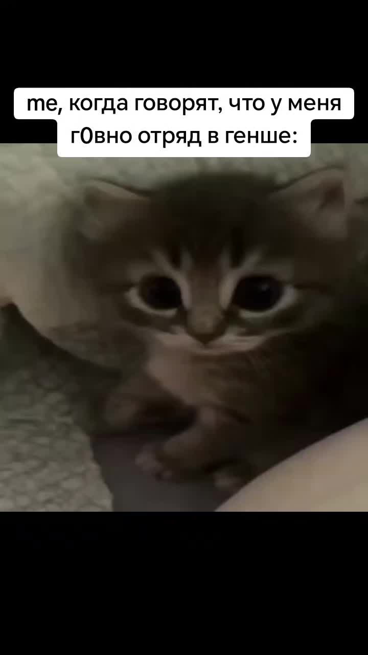 @лупикал