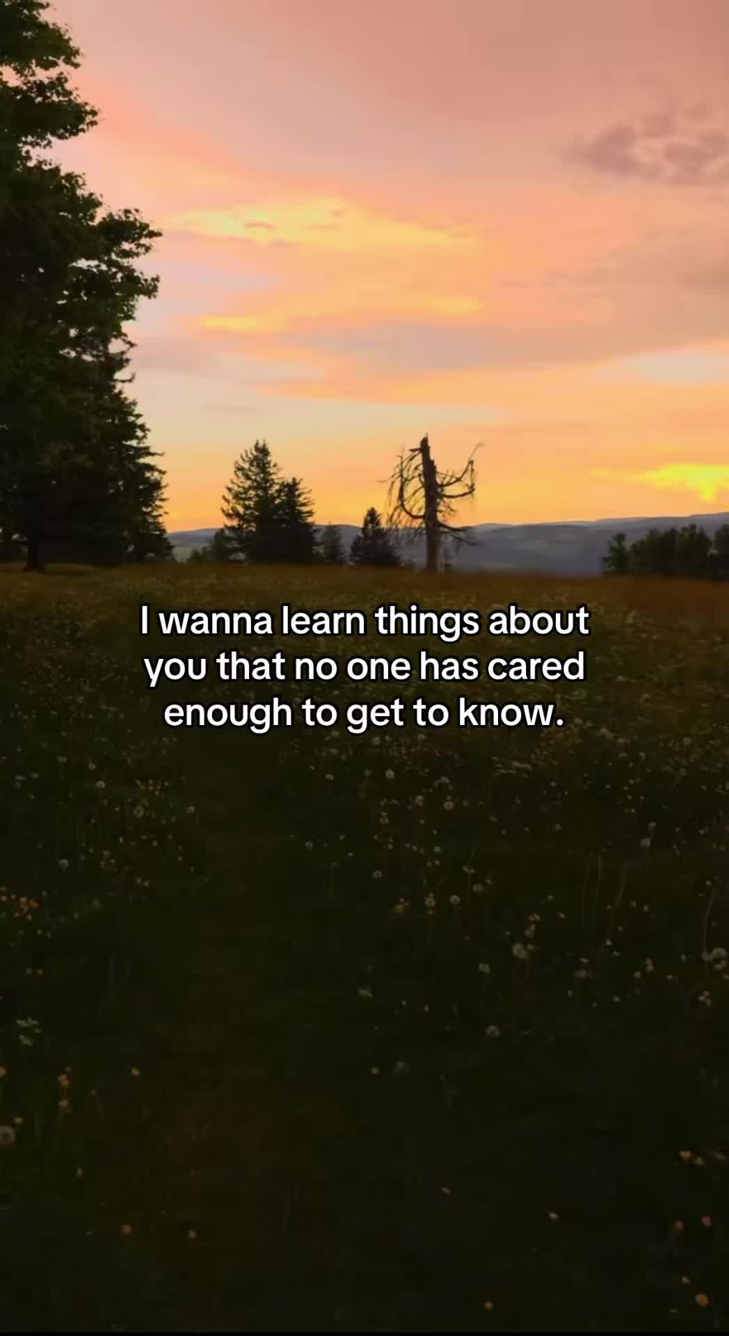 @Cason