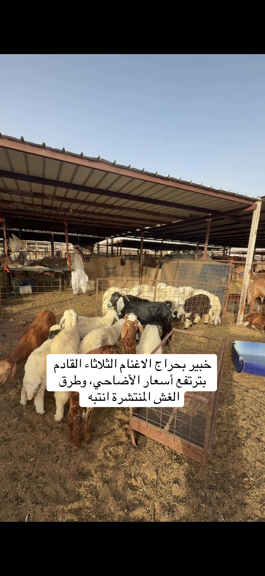 @سالم السناني