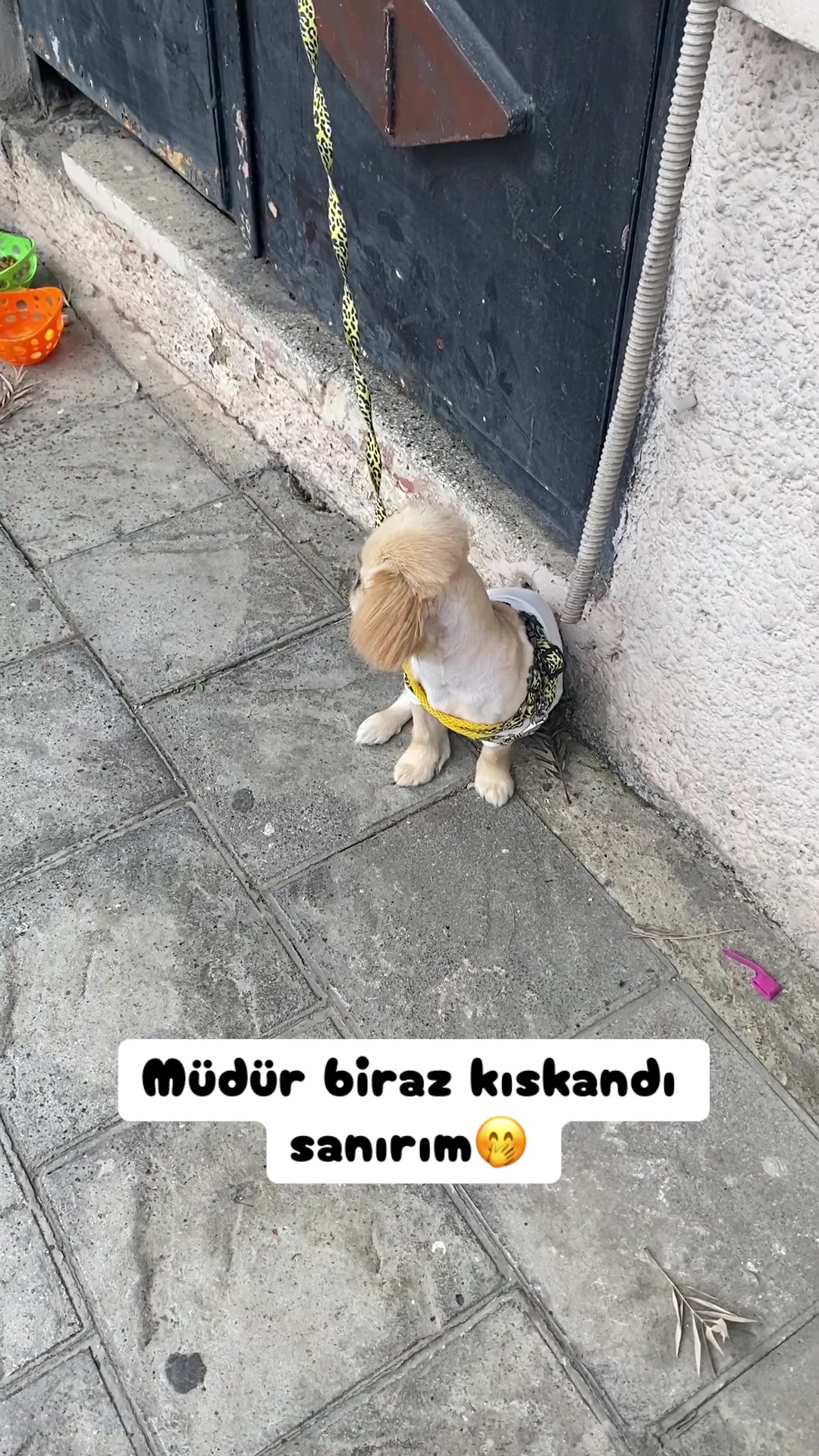@Şapkalı Kadın