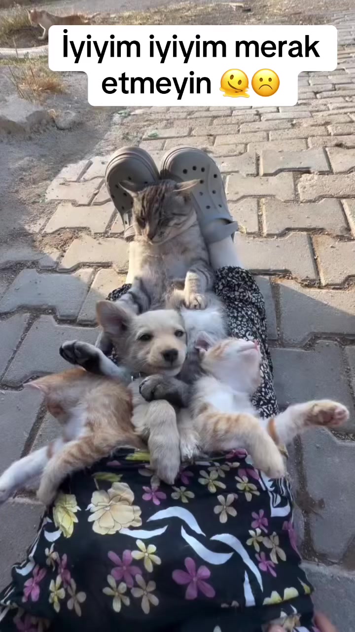@maşa