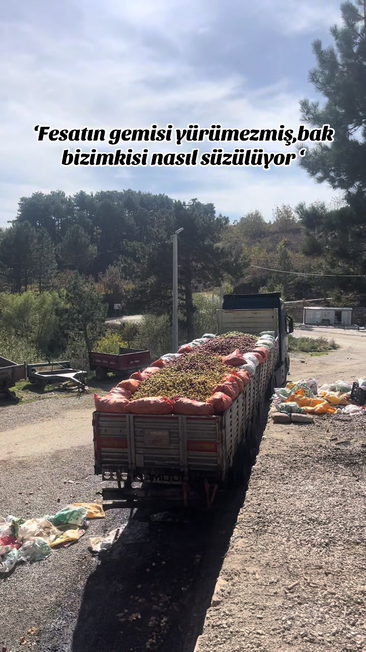 @srcn.kuru_