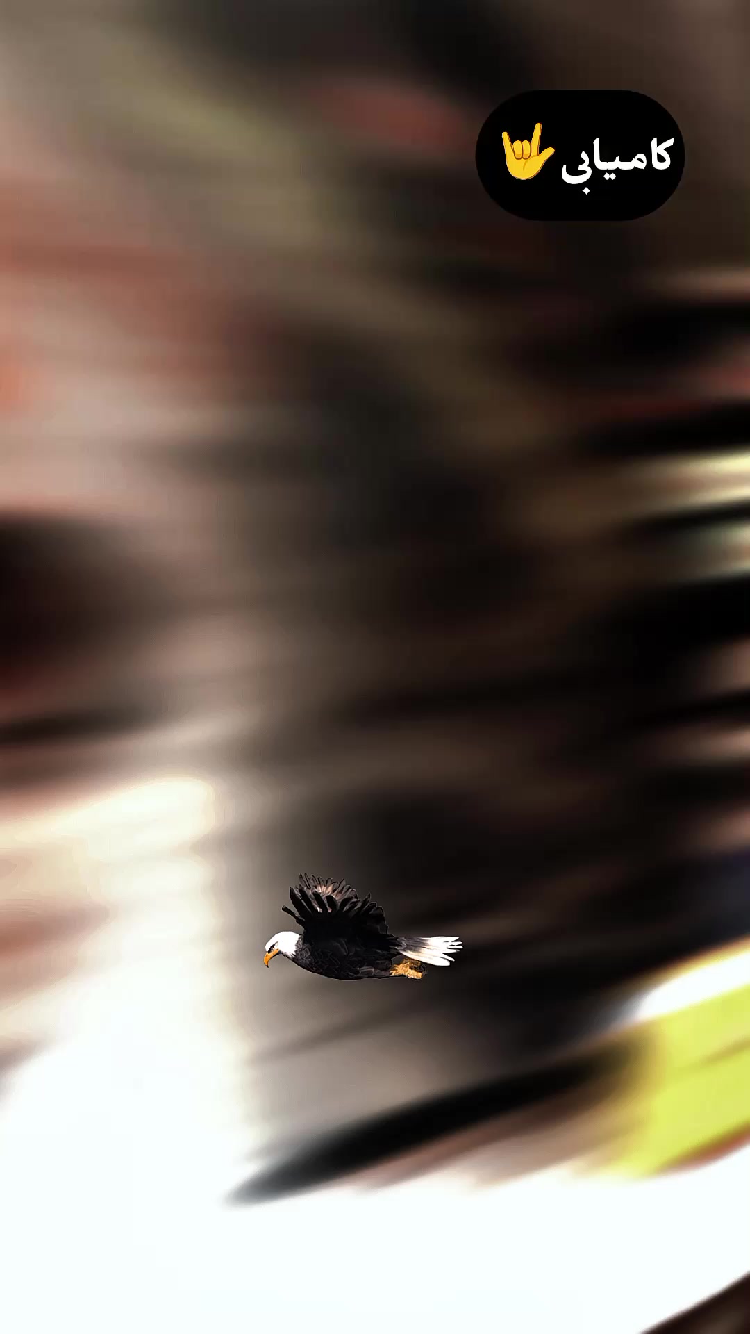 @▄︻R̷e̷h̷a̷n̷ ̷h̷a̷i̷d̷e̷r̷══━一