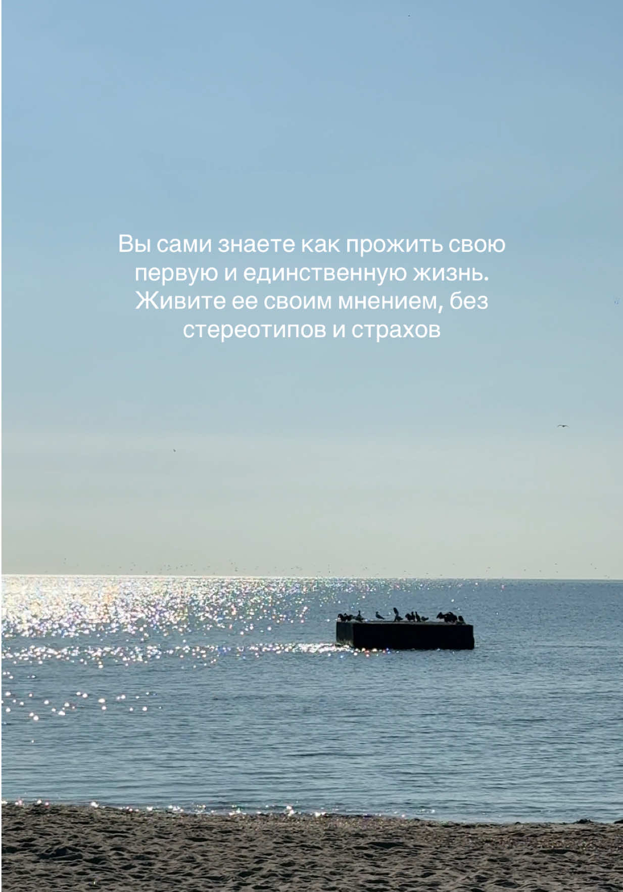 @Даша