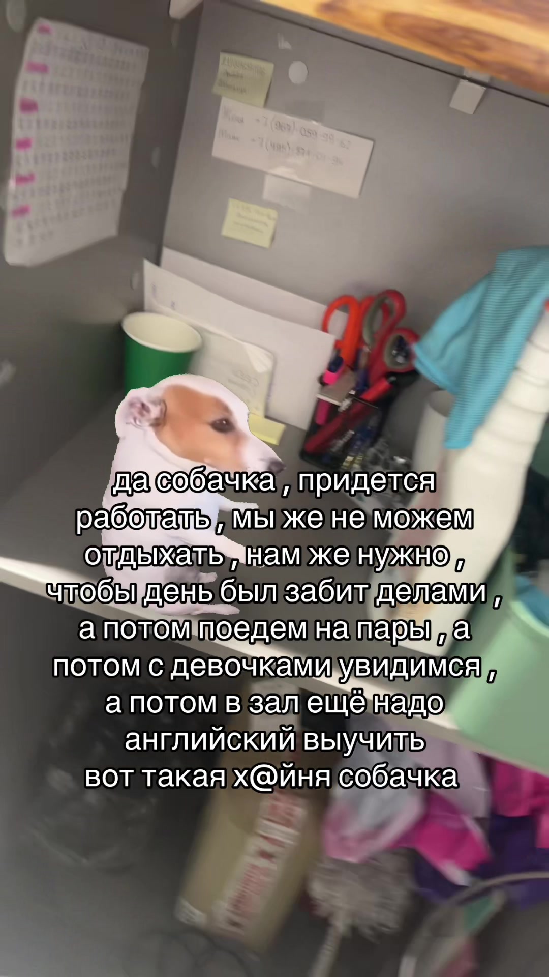 @Ульянка 🐈⬛