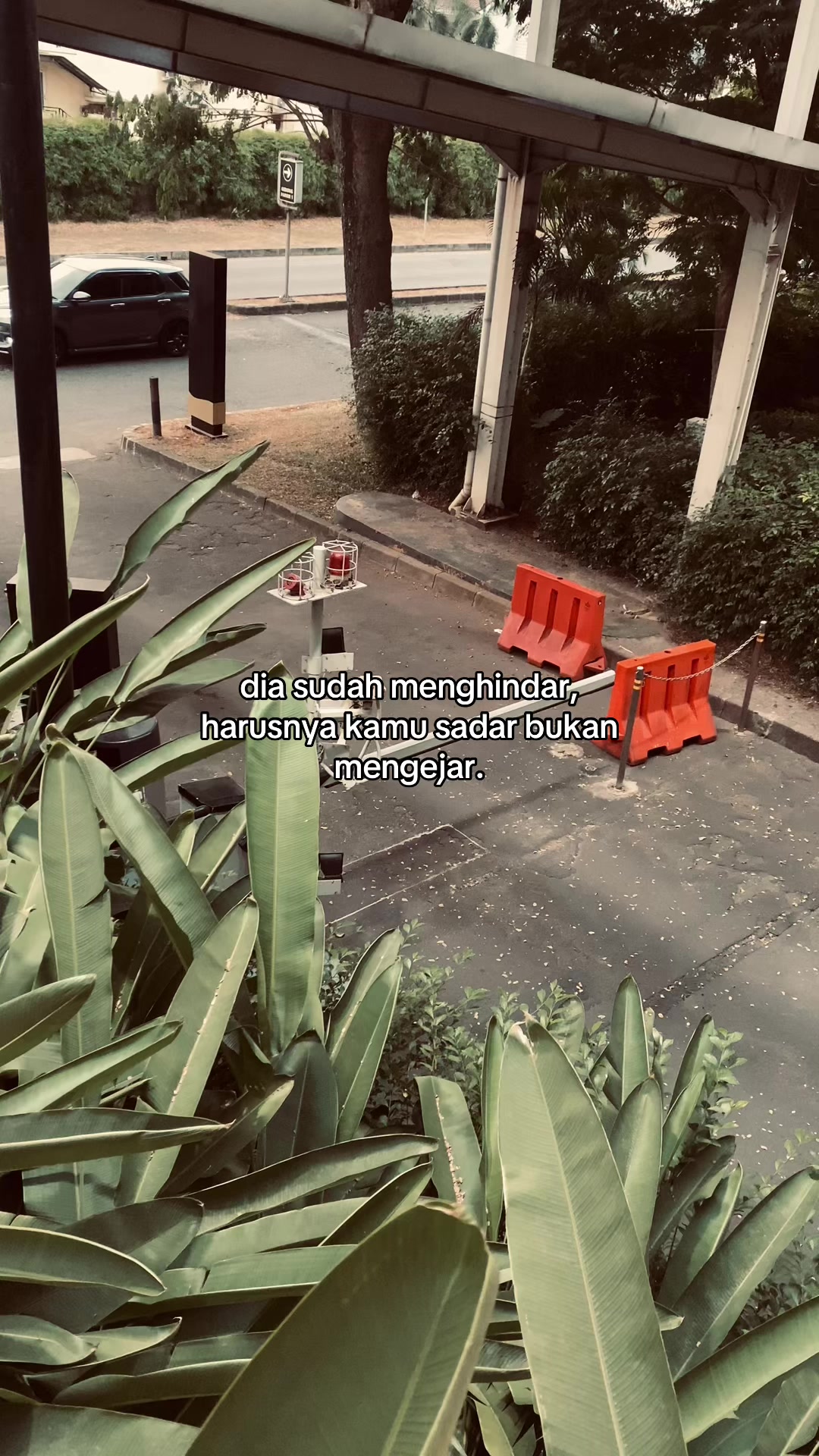 @ryy.
