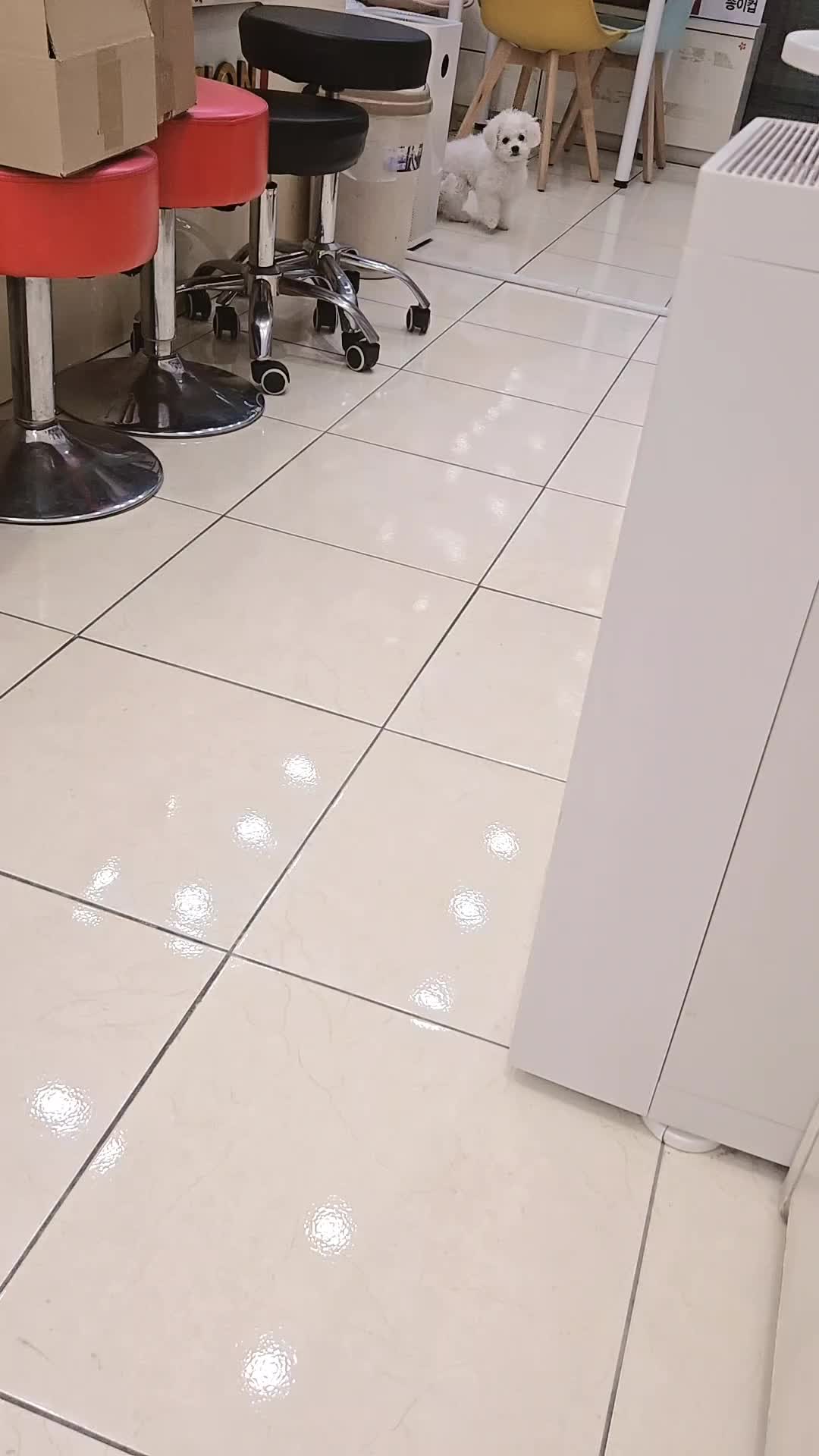 @귀현이