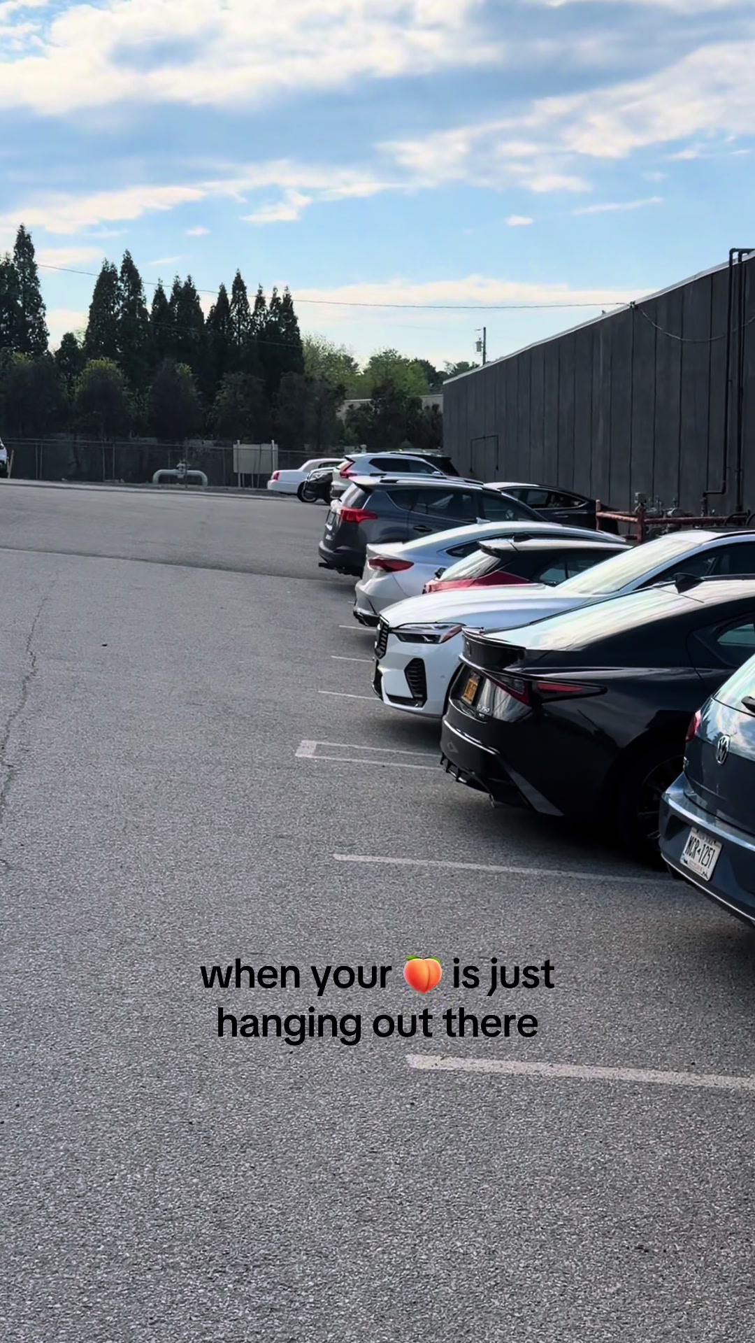 @town car tony