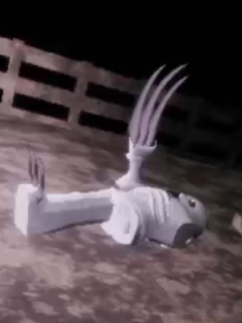 @๐โ๐บ๐๐๐๐ ๐ฉ0๐๐โ๐