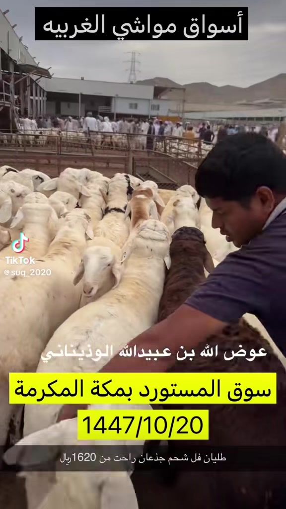 @mohamed_ksa0