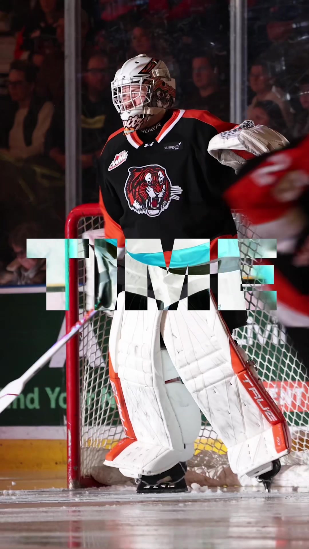 @Medicine Hat Tigers