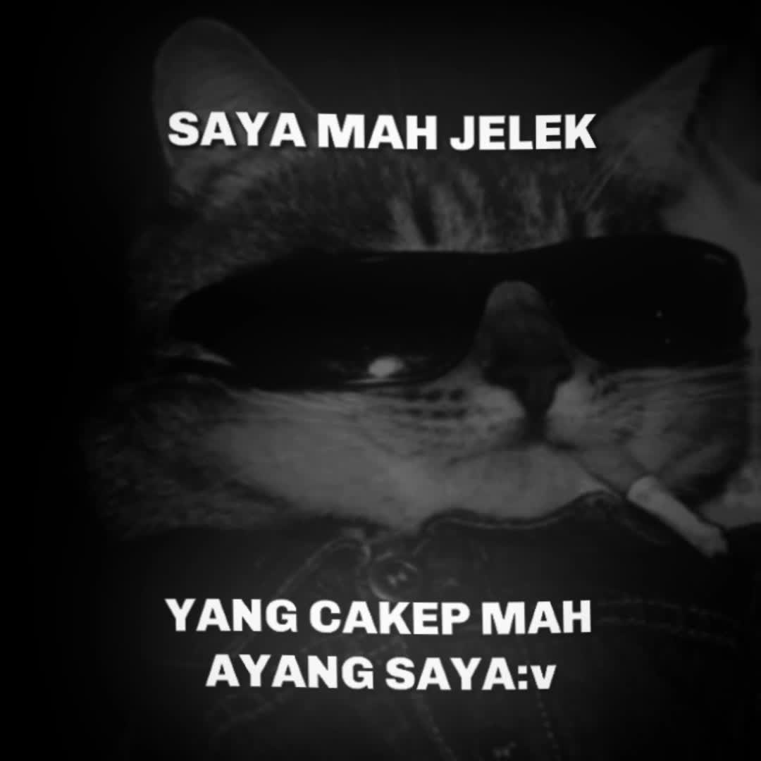 @๐ฆ๐