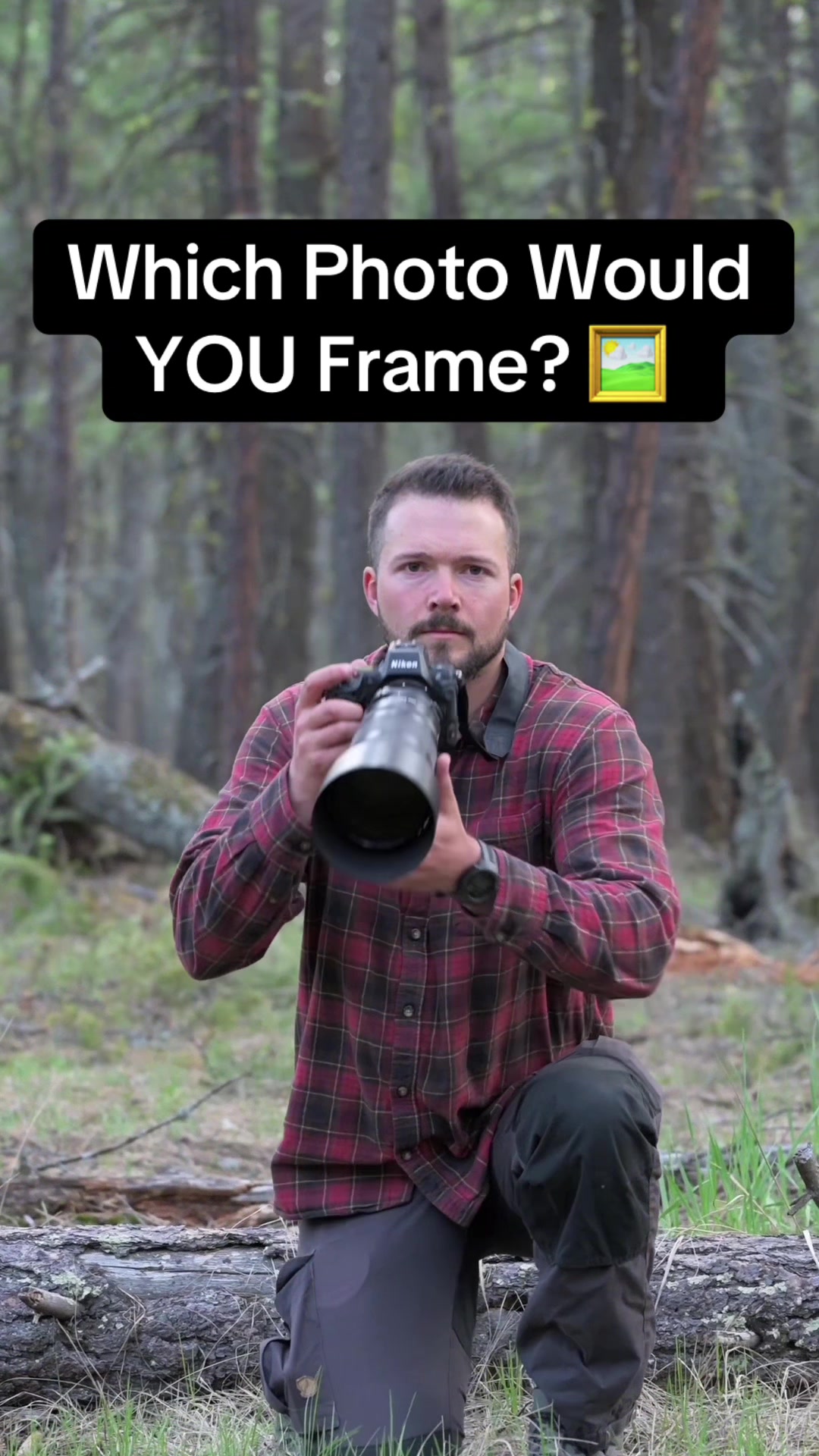 @Trav in the Bush