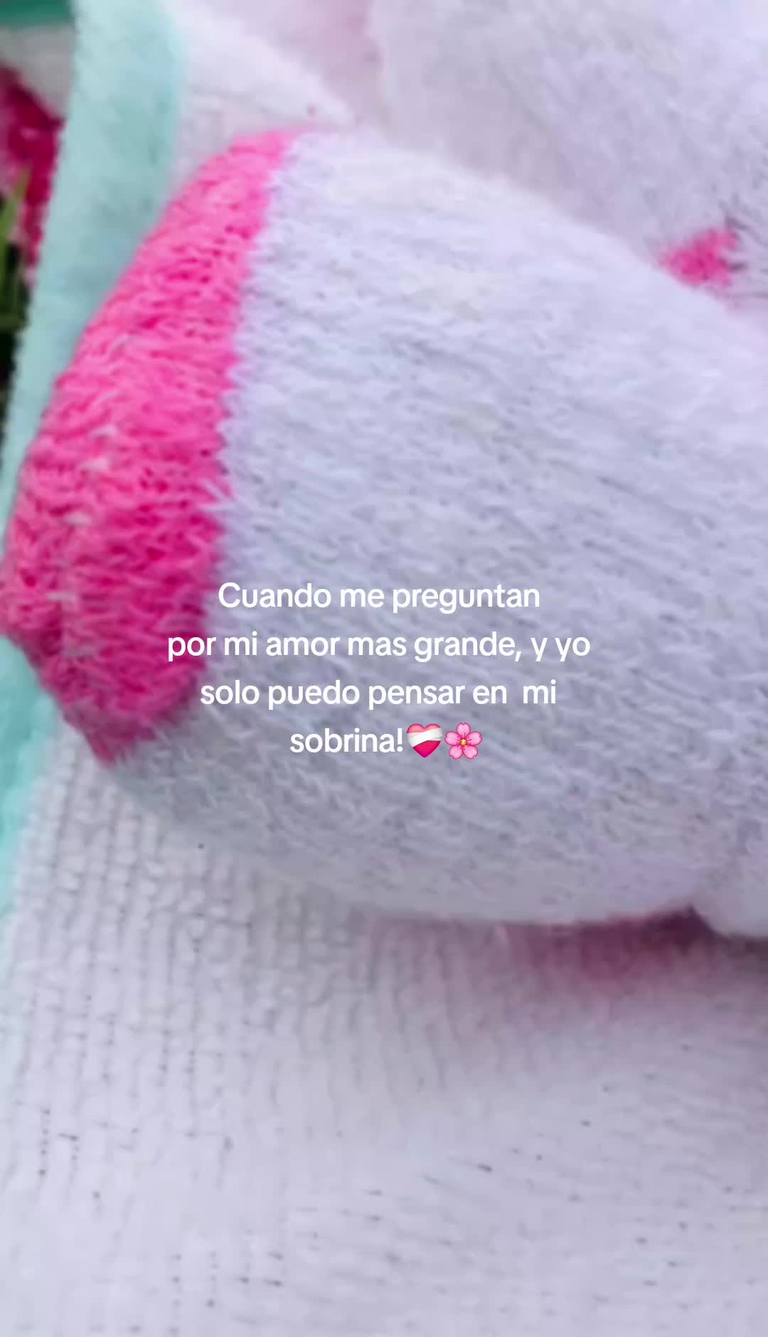 @M🧸🌷