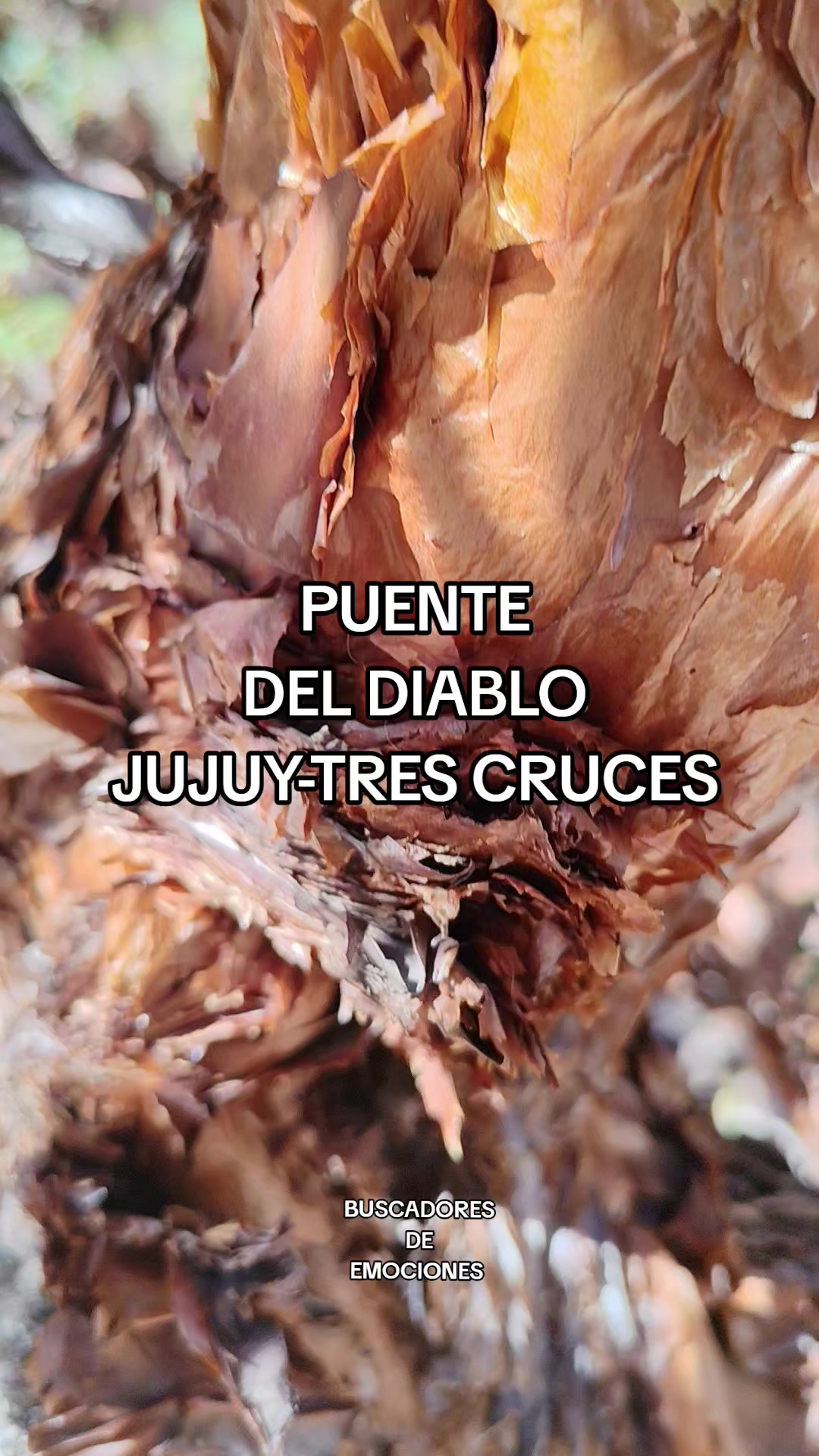 @BUSCADORES DE EMOCIONES