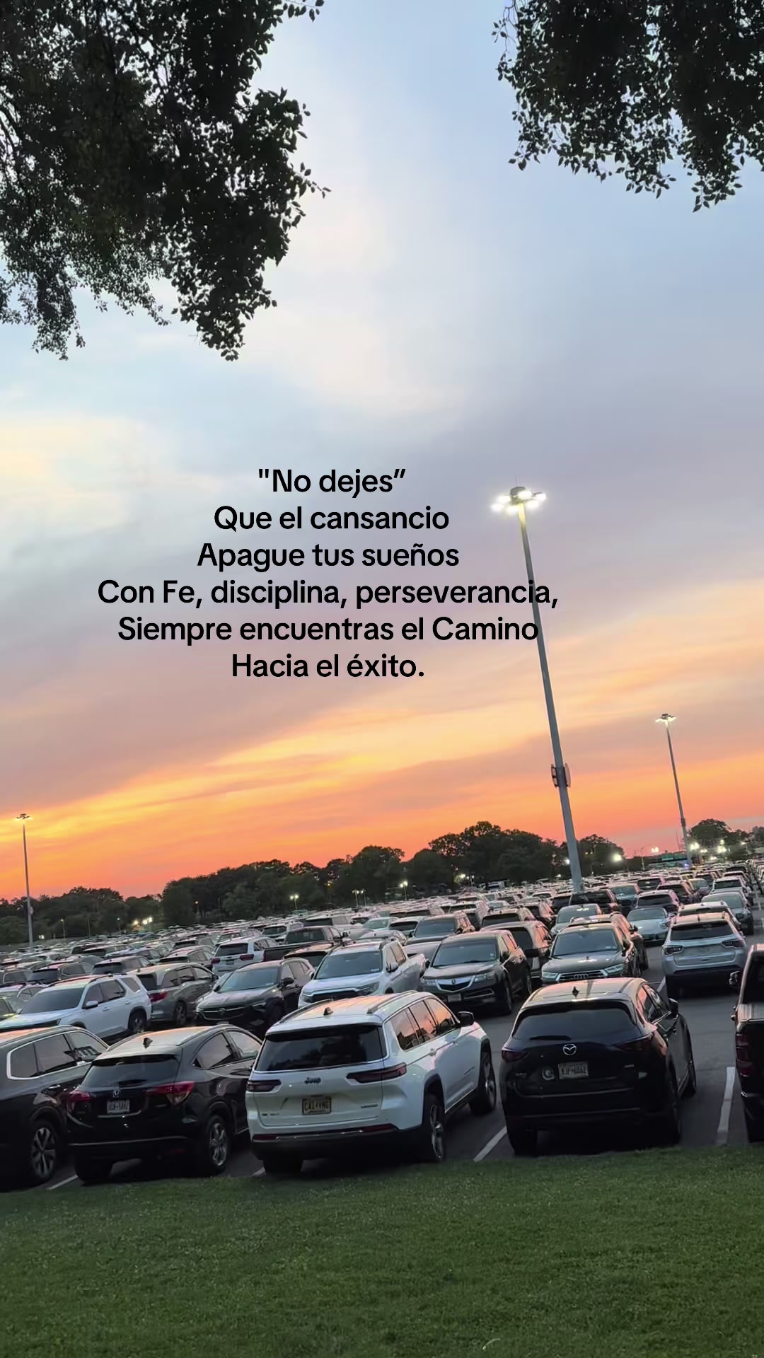 @MariBel C