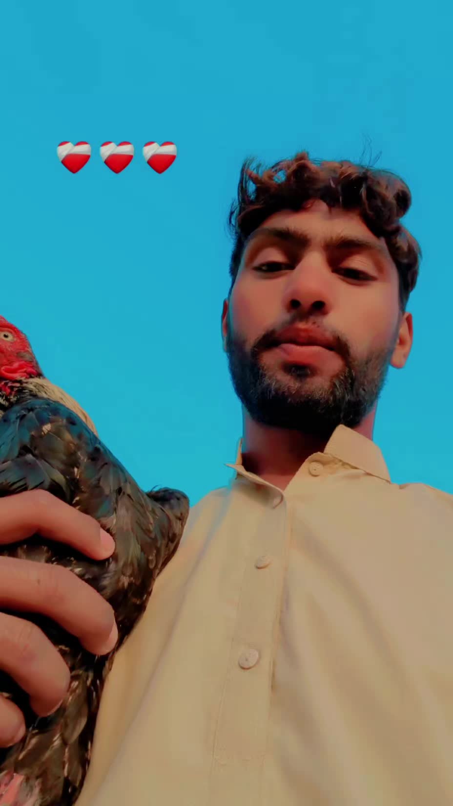@❤️🩹ریحان❤️🩹