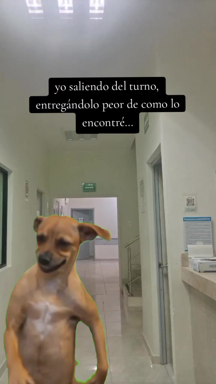 @Hugologo.LM