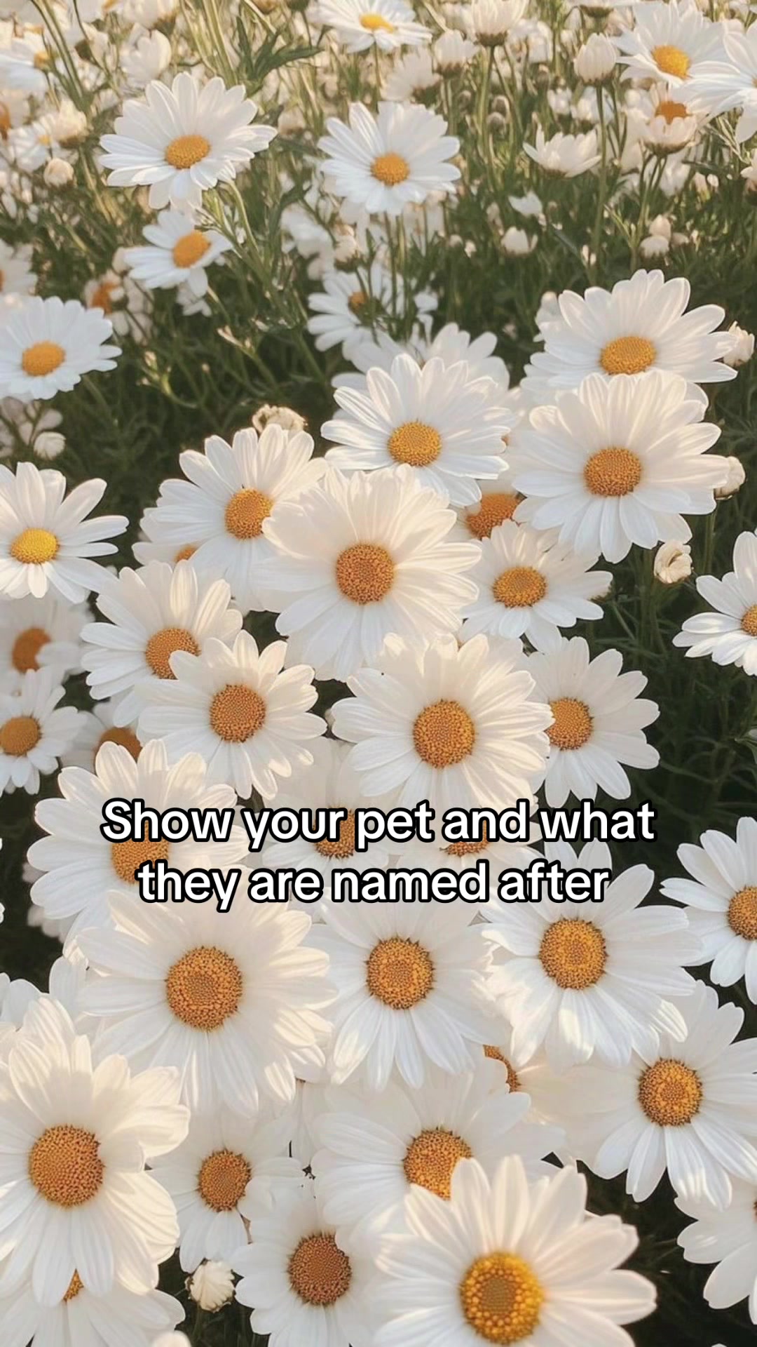 @Cait Alyssa