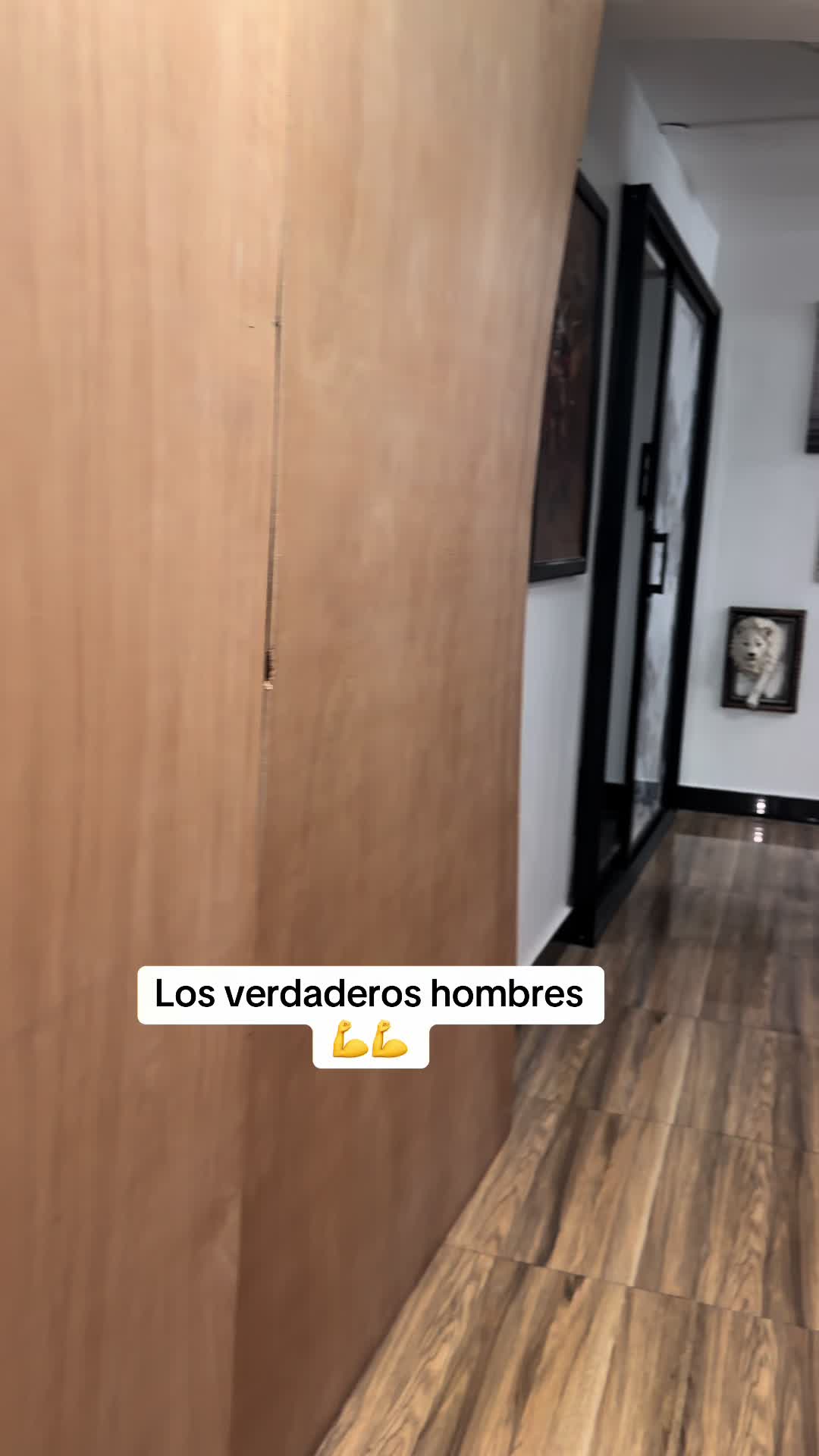 @Rafael Pacheco 🐥⚔️