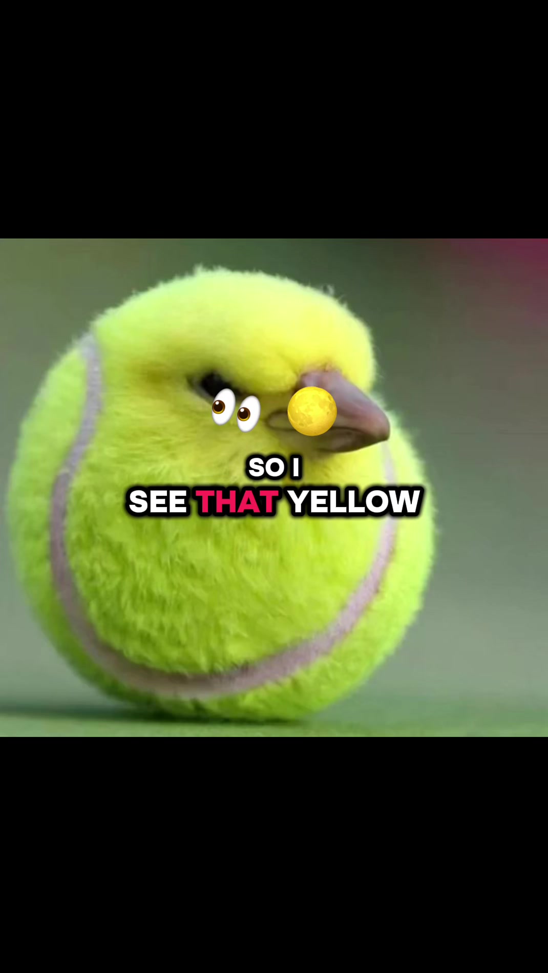 @tenis bal birb