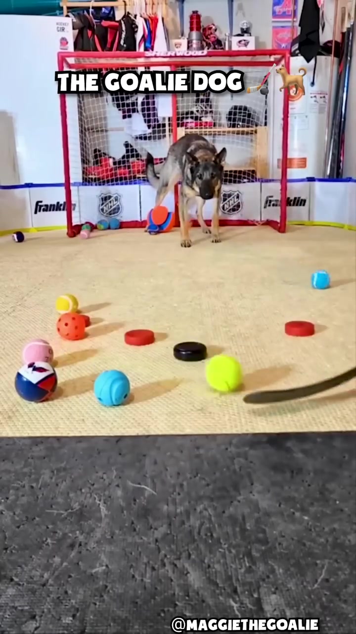 @JesseAndMike