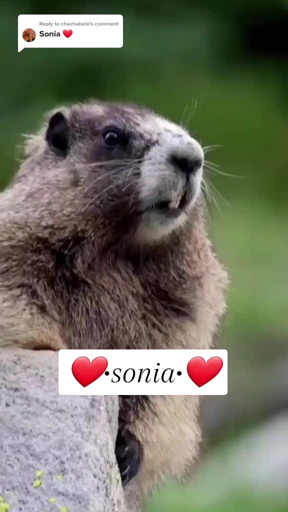 @☞ᛔիᶦᶬᥲ𝖛ᥲṛคṃ❈༄●⃝ᶫᵒꪜer࿐🖤