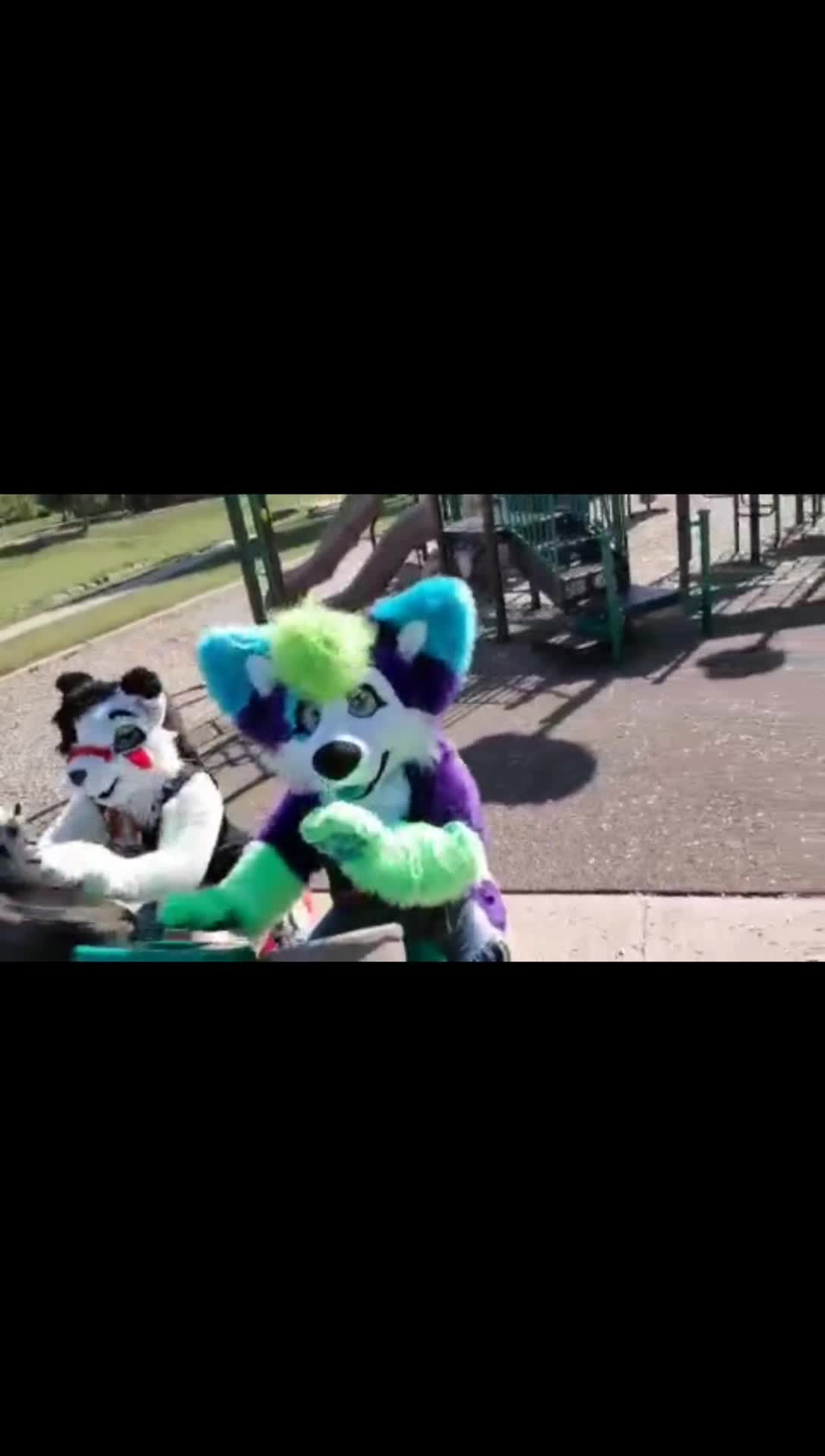 @Luna Husky