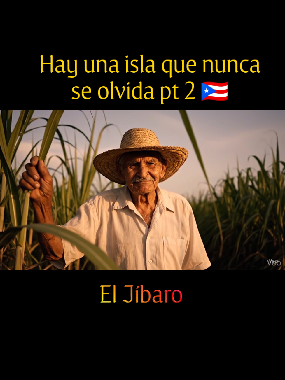 @SoyNYZ