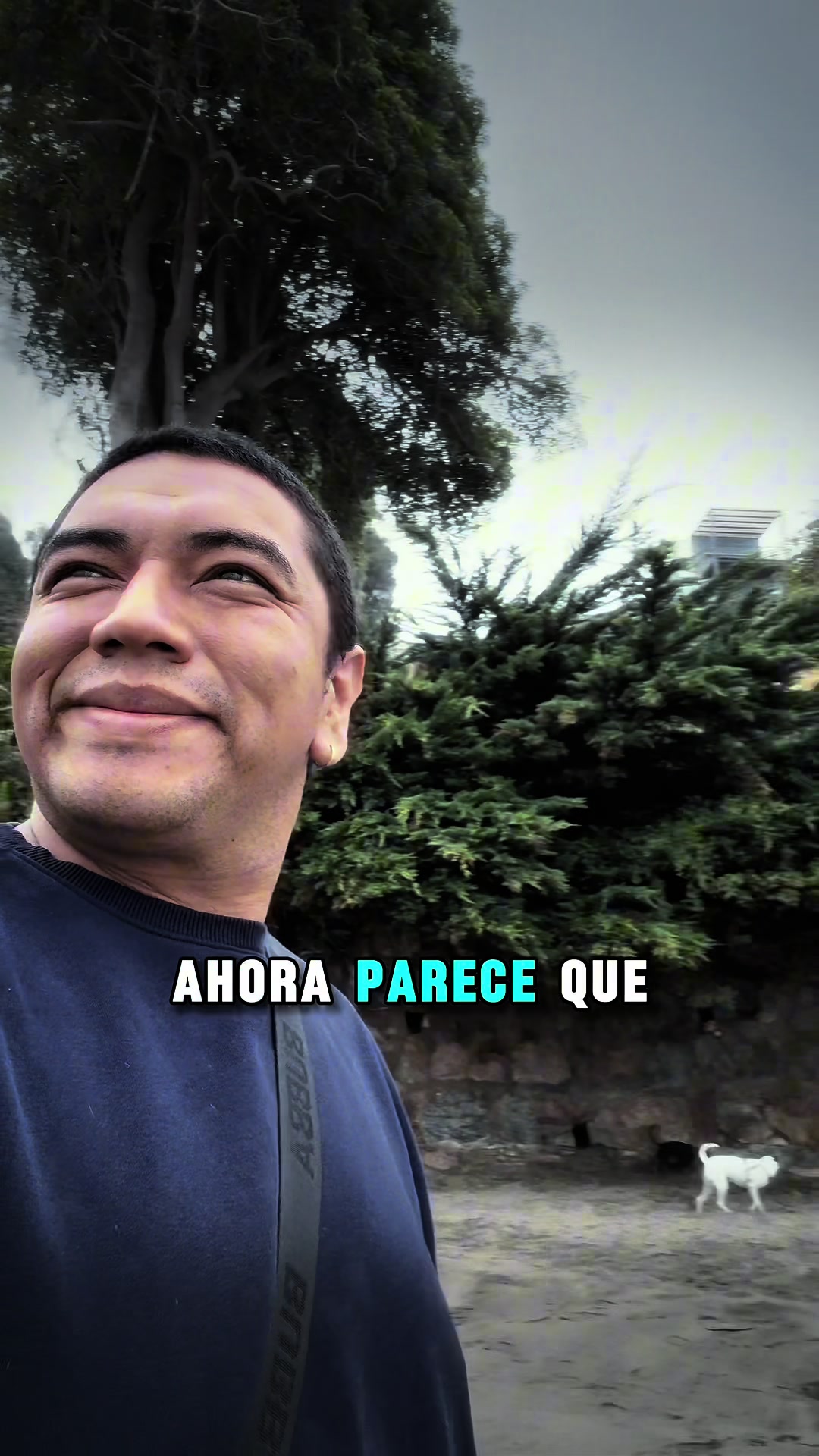 @Pablo N.