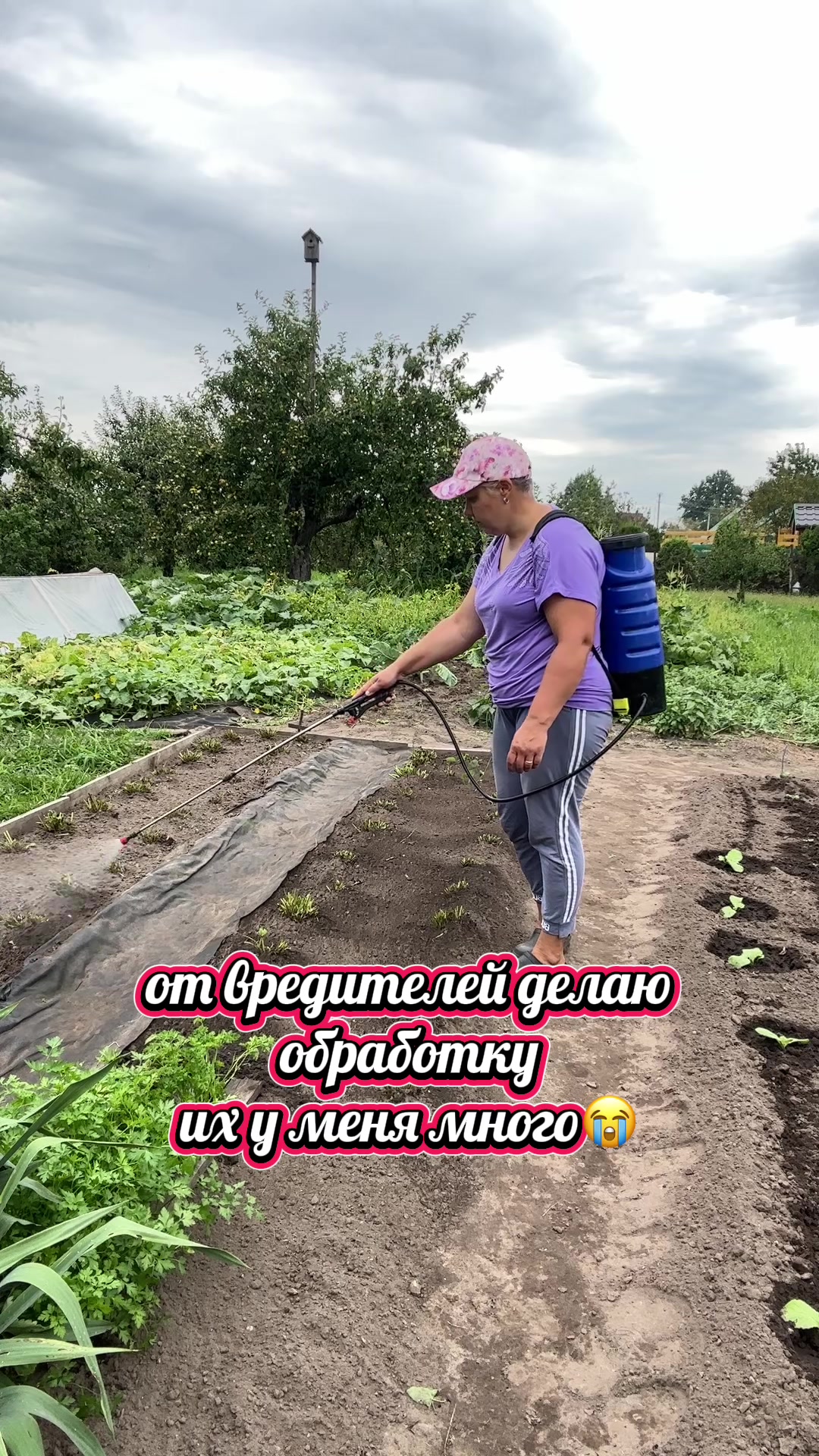 @🌿𝓐𝓷𝓲𝓷𝓪 𝓭𝓪𝓬𝓱𝓪🌿