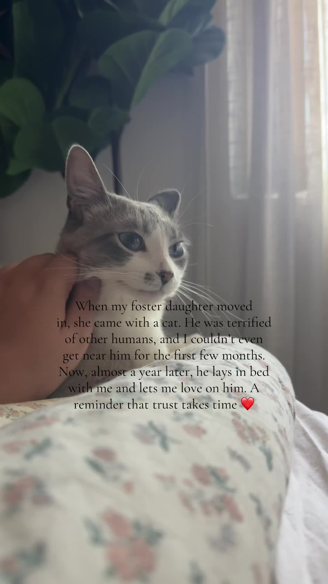 @Tiana | Single Foster Mom