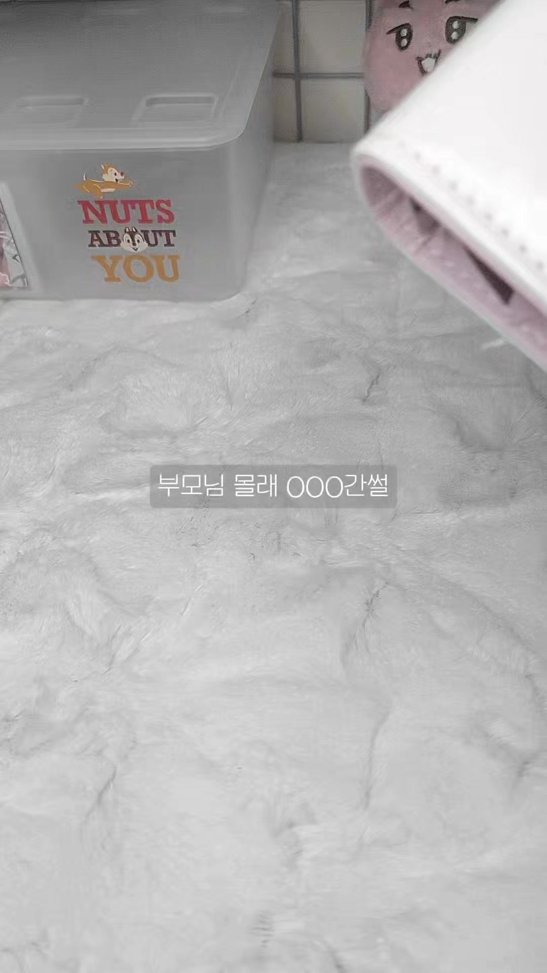 @꒰ঌੈ✩쮸밤ੈ☆໒꒱