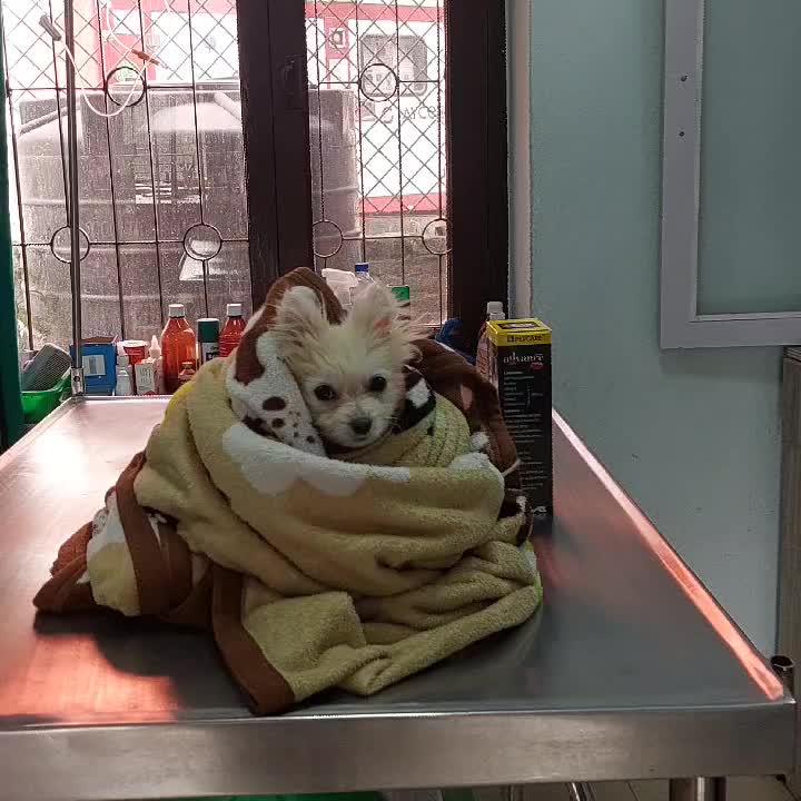 @Bhatbhateni Animal hospital