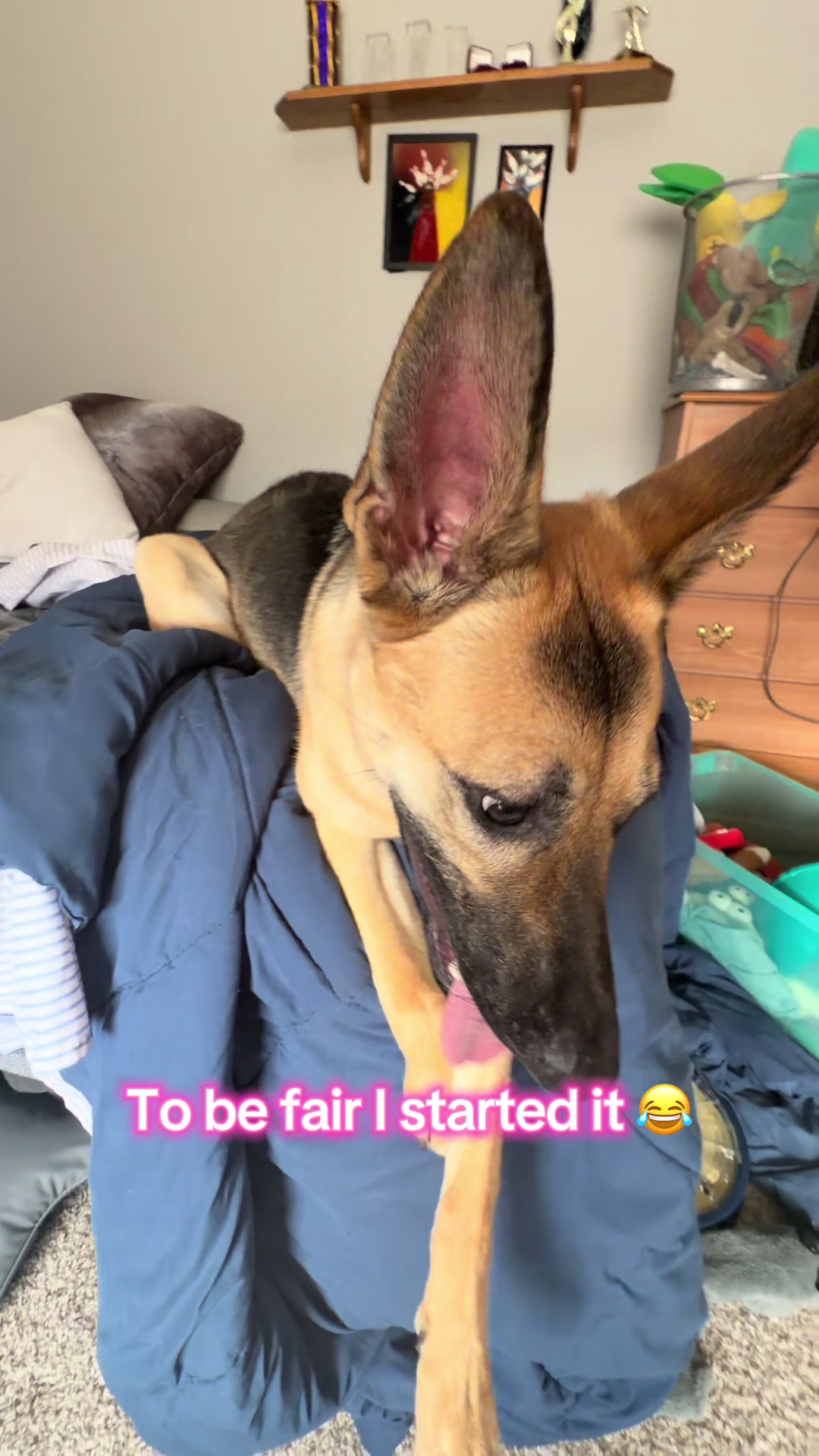 @Kiki.GSD