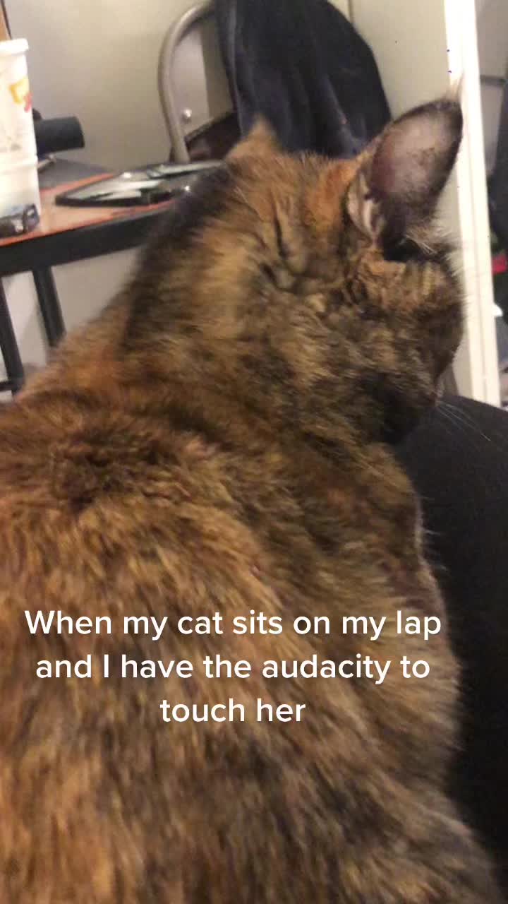 @Bitch