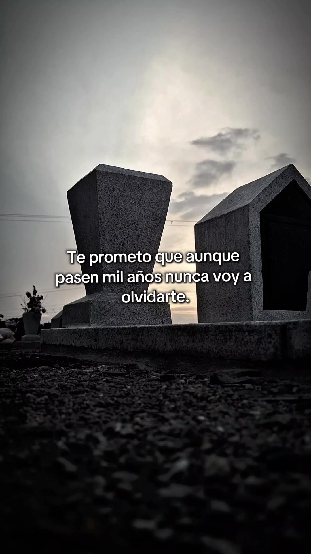 @El-Comis El Rey de la Realidad
