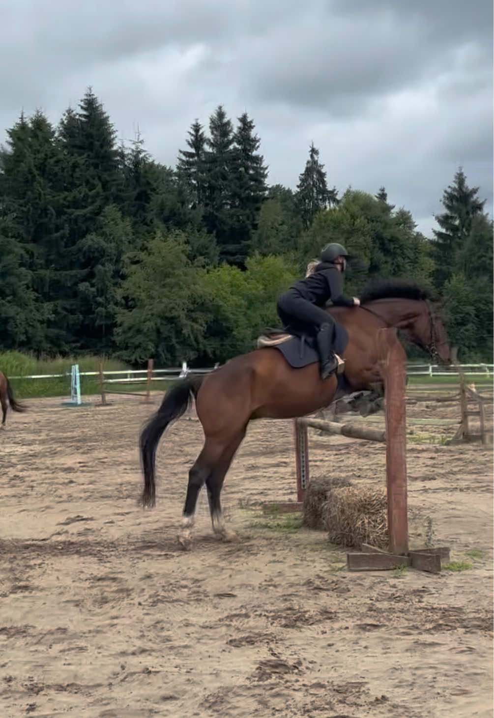 @💋🐴