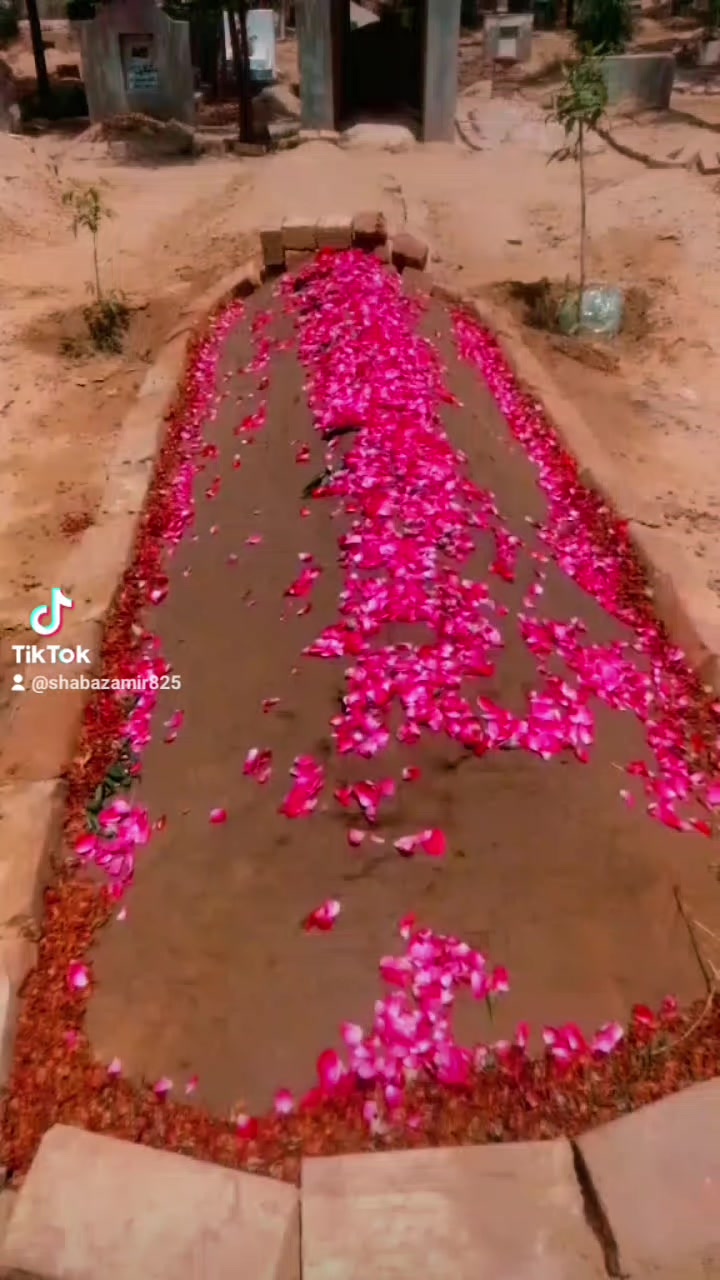 @shabazamir825