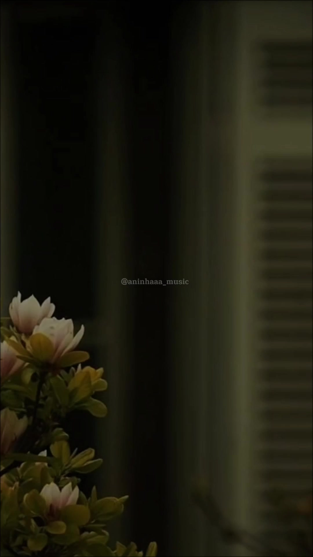 @Aninhaaa_Music💫🎶