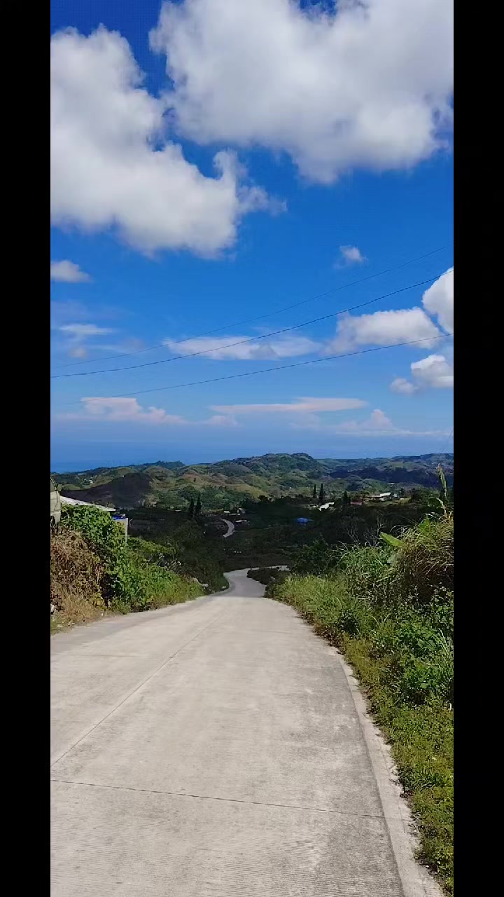 @roseann aguilar